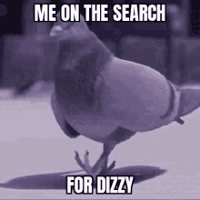 Dizzy Pigeon GIF - Dizzy Pigeon Me Lookin GIFs