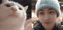 Jungwon Cat GIF - Jungwon Cat Enhypen GIFs