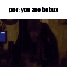 bobux roblox when the meme pov
