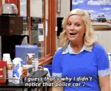 Amy Poehler Police Car GIF - Amy Poehler Police Car I Guess Thats Why I Didnt Notice GIFs
