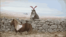 Funnies GIF - Horse Back Slide GIFs