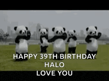 a group of panda bears are dancing in a field and holding hands .