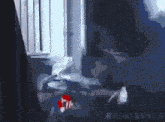 a person is standing in front of a window in a room with a blurred background .