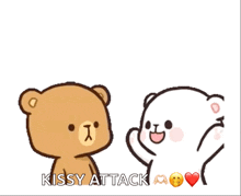 two teddy bears are standing next to each other with the words kissy attack written on the bottom