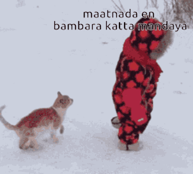 Cat Cat Attack GIF - Cat Cat Attack Cat Vadivelu - Discover & Share GIFs