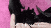 Czesc Jesse GIF - Czesc Jesse GIFs