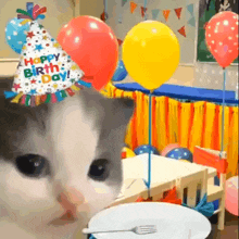 Birthday Cat GIF - Birthday Cat GIFs