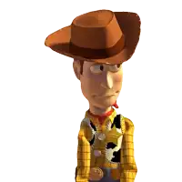 woody from toy story is wearing a plaid shirt and a cowboy hat