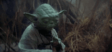 Yoda Yoda Meme GIF - Yoda Yoda Meme Head Shake GIFs