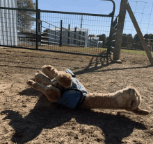 Live Life Like A Cria And His First Dirt Roll GIF - Live Life Like A Cria And His First Dirt Roll GIFs