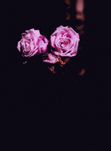 Dark Flower GIF - Dark Flower Pink GIFs