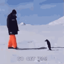 Penguin Chase GIF - Penguin Chase Human GIFs
