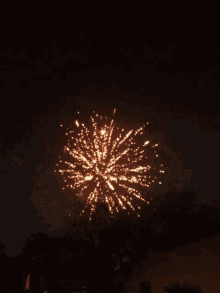 celebration celebrate fireworks light