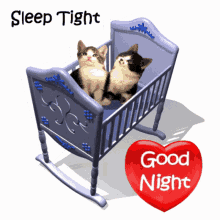 good night sleep tight sleep well sweet dreams gnite kittens in crib