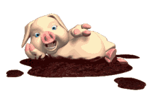 muddy pig