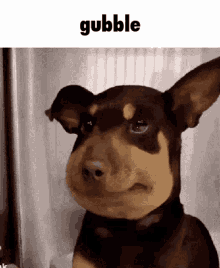 Gubble Dog GIF