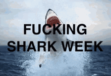 Its Shark Week Sharp Teeth GIF - Its Shark Week Sharp Teeth Out Of The Water GIFs