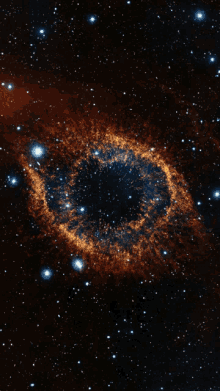 the word fly is surrounded by stars in the night sky