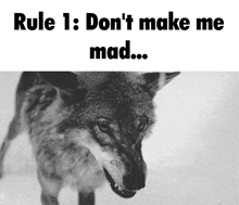 goku rules rule 1 dont make me mad rule one dont make me mad