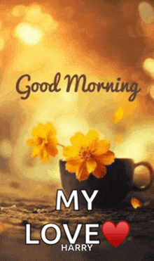 a picture of a cup of coffee with yellow flowers and the words " good morning my love harry "