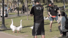 Running Away Goose Attack GIF - Running Away Goose Attack Get Away From Here GIFs