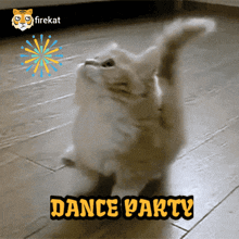 Firekat Dance Party GIF - Firekat Dance Party Danceparty GIFs