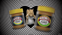 marmite squirrel dance heart