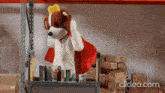 Bye Ciao GIF