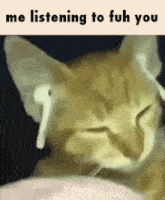 a cat wearing headphones is listening to a song .