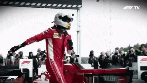 Vettel F1 GIF - Vettel F1 Formula1 GIFs