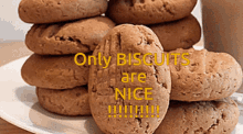 Only Biscuits Are Nice GIF - Only Biscuits Are Nice GIFs