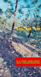 a red sign that says la wajoloto on it in front of a forest