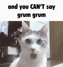 Tafla Grum Grum GIF - Tafla Grum Grum Shocked GIFs