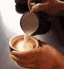 Latte GIF - Latte Fail Coffee GIFs