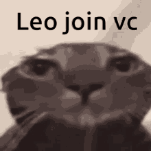 Leo Join Vc GIF