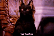 Same GIF - Sabrina The Teenage Witch Salem Evil Laugh GIFs