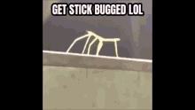Stickbug Bss GIF - Stickbug Bss GIFs