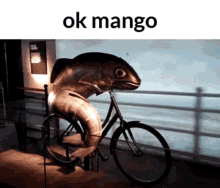 Ok Mango Mango Ok GIF