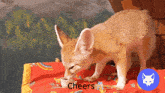Fennec Cheers Nightly Cheers GIF - Fennec Cheers Cheers Nightly Cheers GIFs