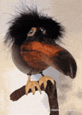 a bird with a very long beak is sitting on a tree branch