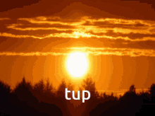 Tup Tupnemall GIF