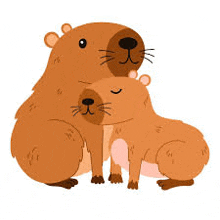 a couple of capybaras are hugging each other on a white background .