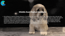 Pet Toys Market Report GIF - Pet Toys Market Report GIFs