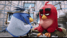 Red Angry Birds GIF