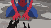 Spider Man Cover Up GIF