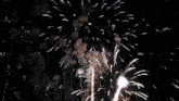 a bunch of fireworks going off in the sky