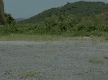 a blue power ranger is standing in a field with a mountain in the background