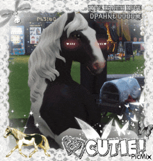 a picture of a black and white horse with the words cutie