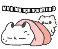 a cat is wrapped in a pink blanket with the words minh hiu ngu ngoan na : 3 written above it