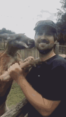 kangaroo animals hug clingy my human